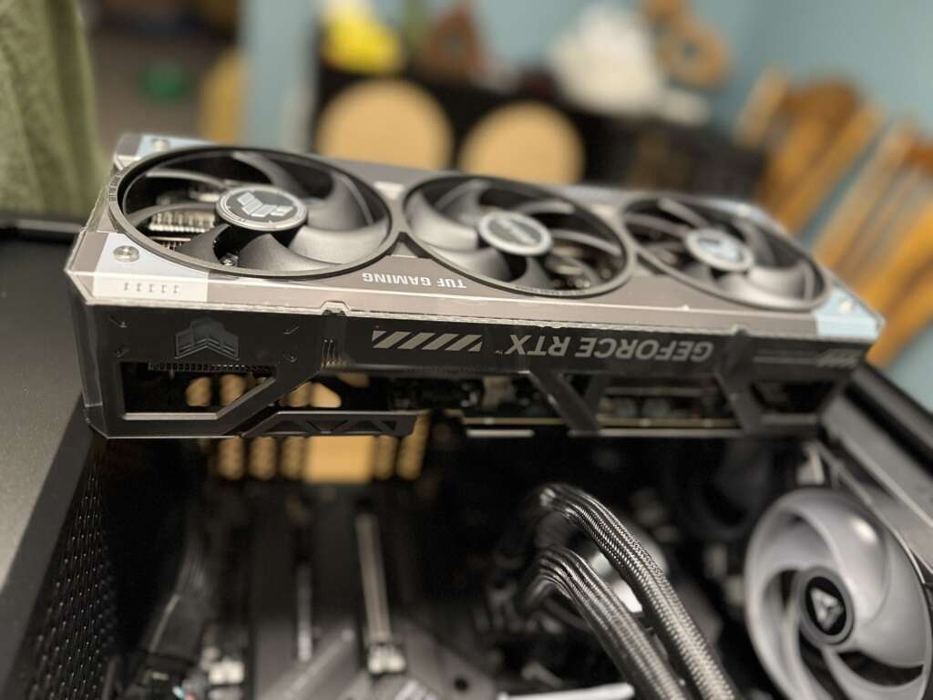 IMG 0894