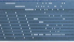 La tarjeta perforada: por qué tu terminal tiene 80 columnas