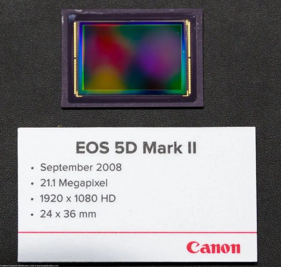 Canon didn't have the 5D3 or the T4i sensor on display at NAB but they did have the 5D2. Feel free to use this