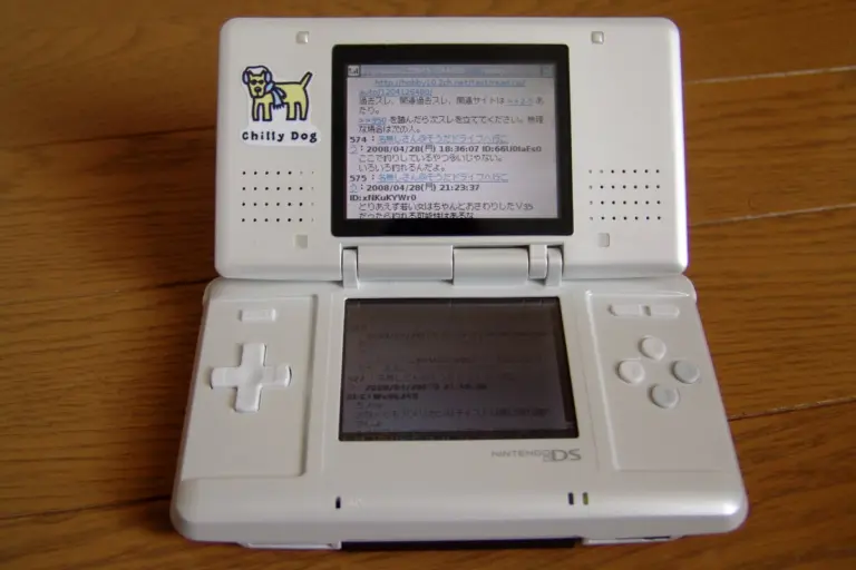 Nintendo DS navegando por internet